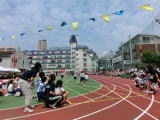 運動会の写真