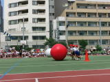 運動会の写真