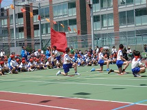 平成27年度運動会の写真