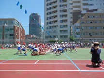 平成27年度運動会の写真