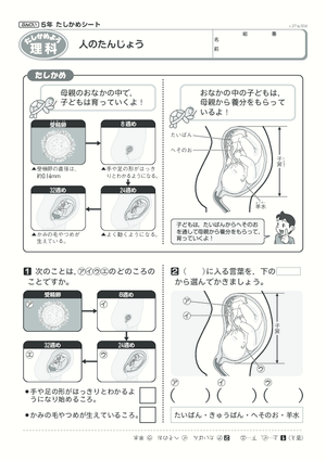 学年ページ 港区立赤坂小学校