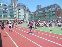 平成27年度運動会の写真