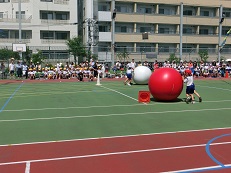 平成27年度運動会の写真