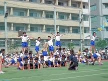 平成27年度運動会の写真