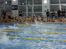 水泳記録会の写真